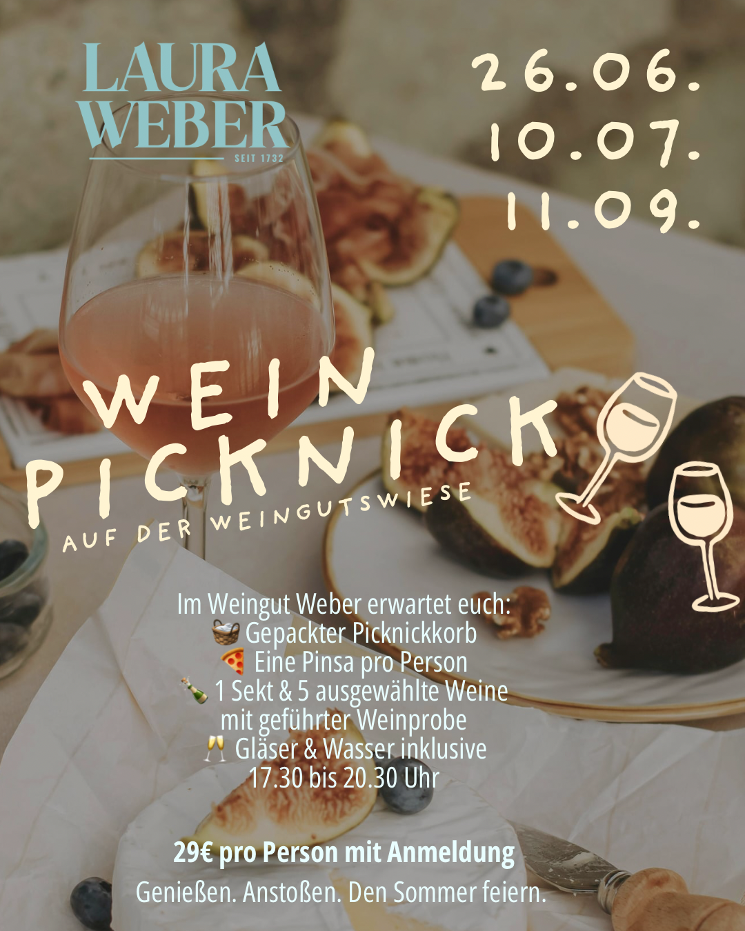 Wein-Picknick 2026 – Sommergenuss auf der Weingutswiese (Kopie)
