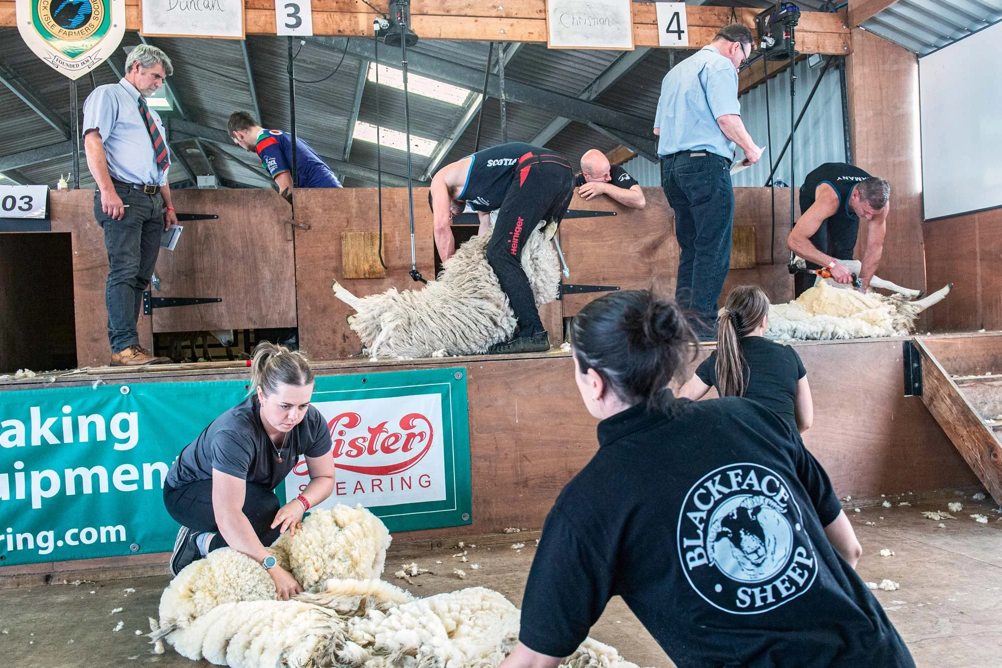 Sheep-Shearing-Highlands.jpg