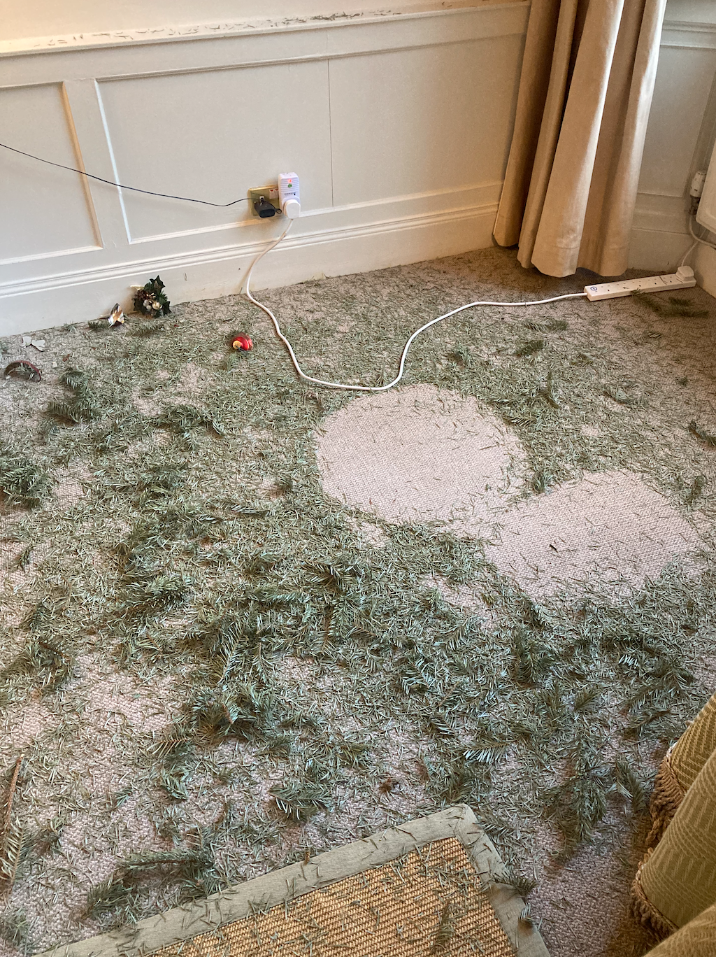 My Sitting Room carpet completely covered in needles!