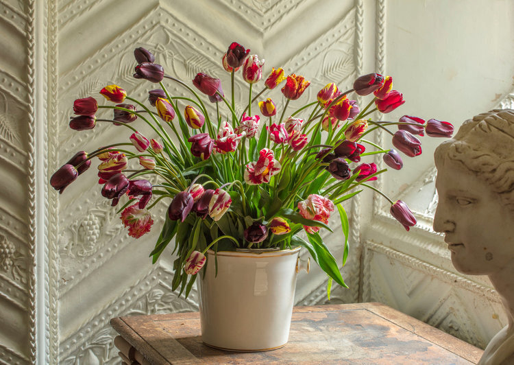 tulip+vase83874.jpg