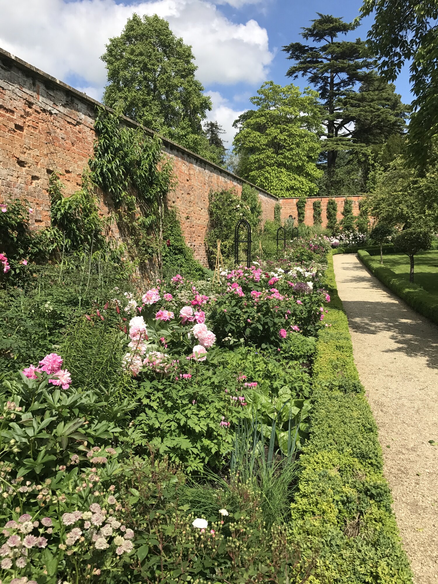 The herbaceous borders packed with blooms