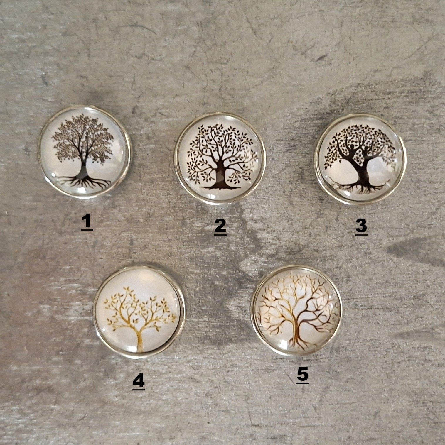 Arbre de vie.jpg
