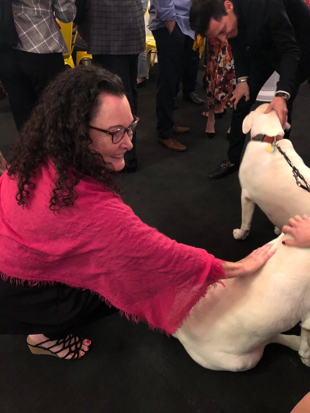 Chapter 1 - For the Love of At-Risk Pets