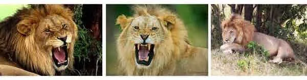 Delivering a mind bomb and then letting it go.