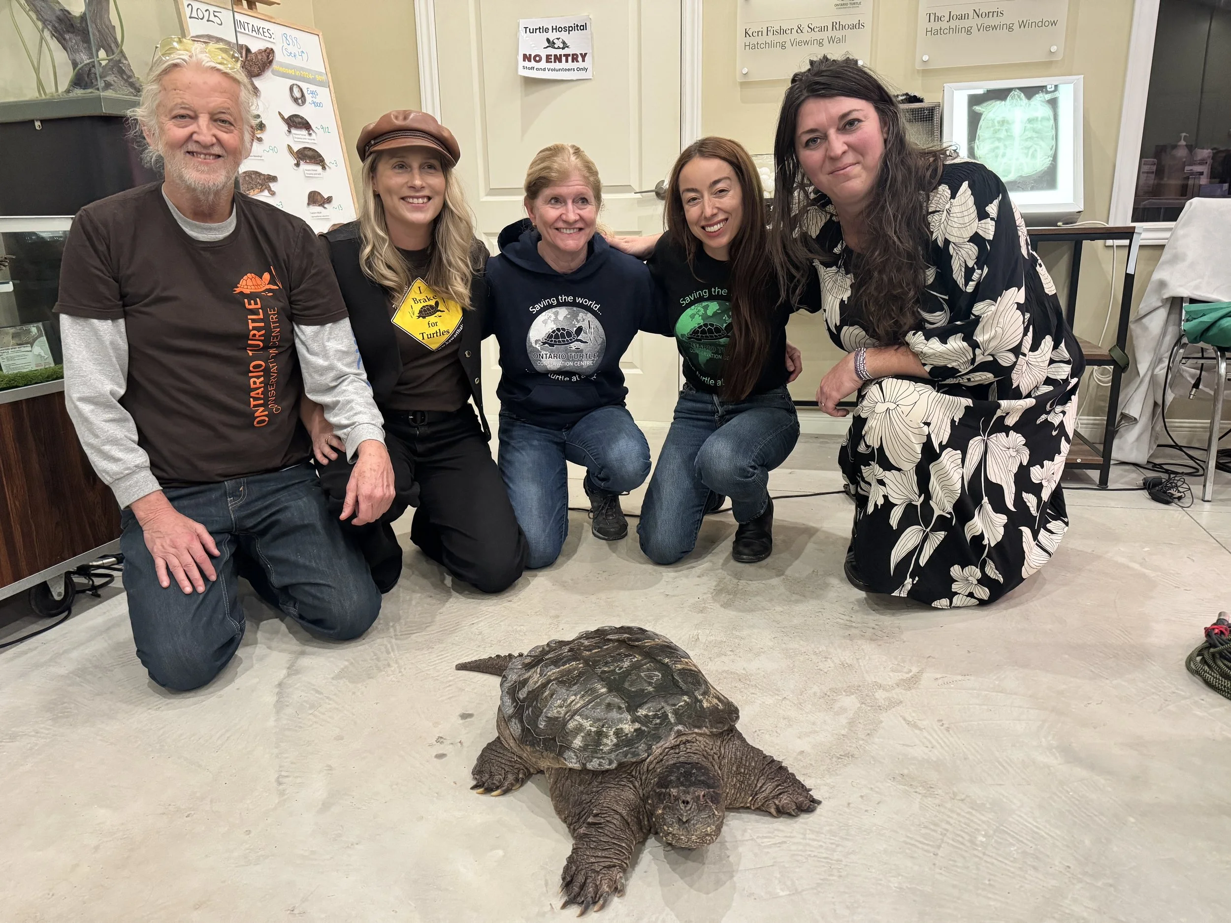 Five people kneeling and crouching behind a large turtle that is on the floor, with a display case and posters in the background. They are smiling and posing for the photo.