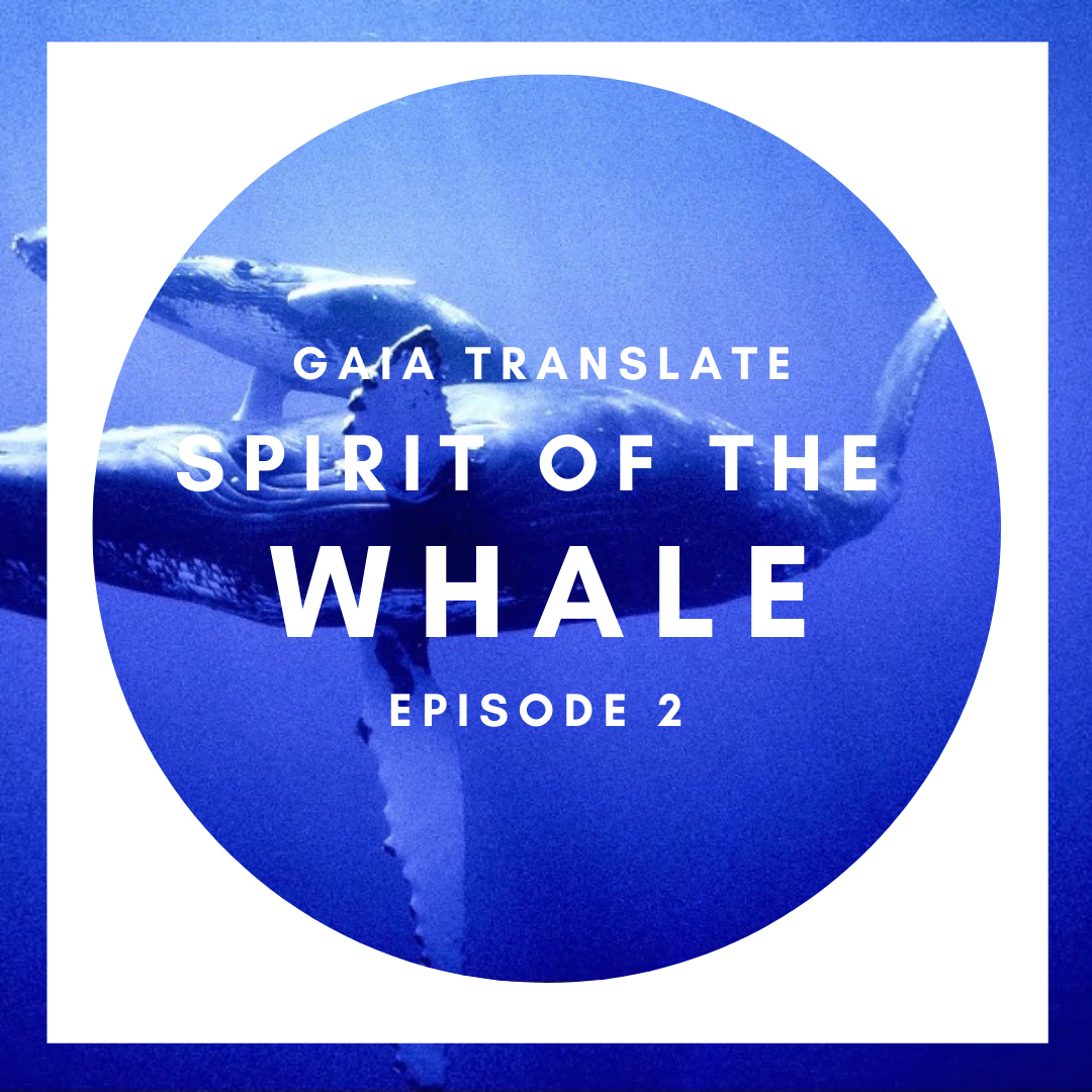 #2: The Great Spirit of the Whale