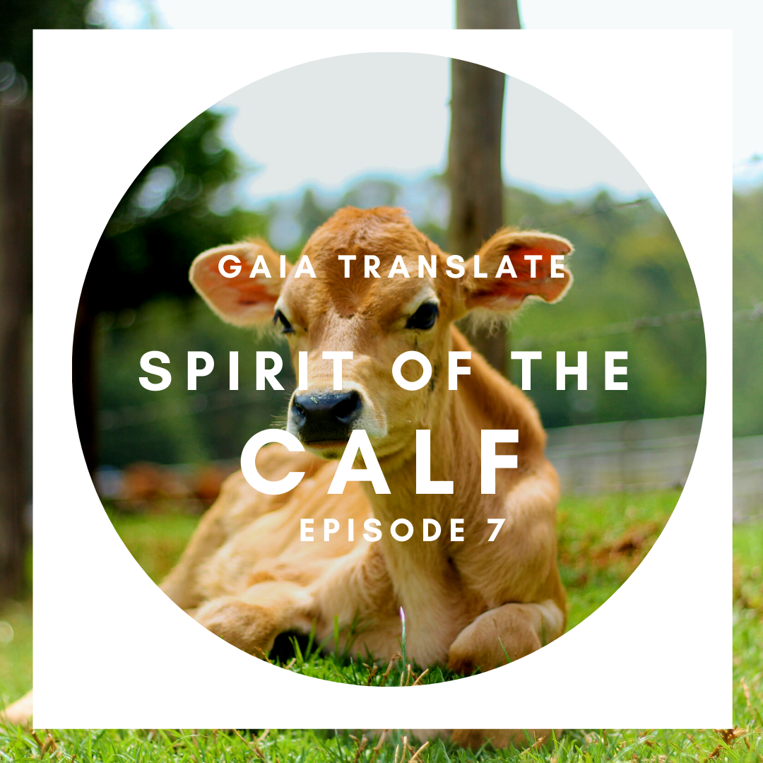 #7: The Great Spirit of the Calf
