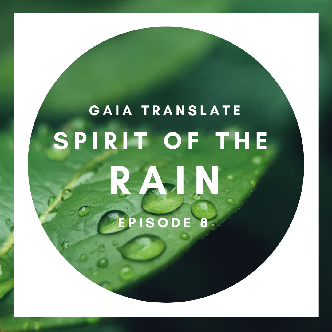 #8: Great Spirit of the Rain