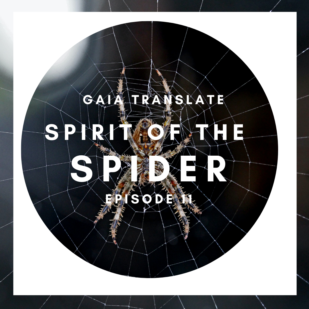 #11: The Great Spirit of the Spider