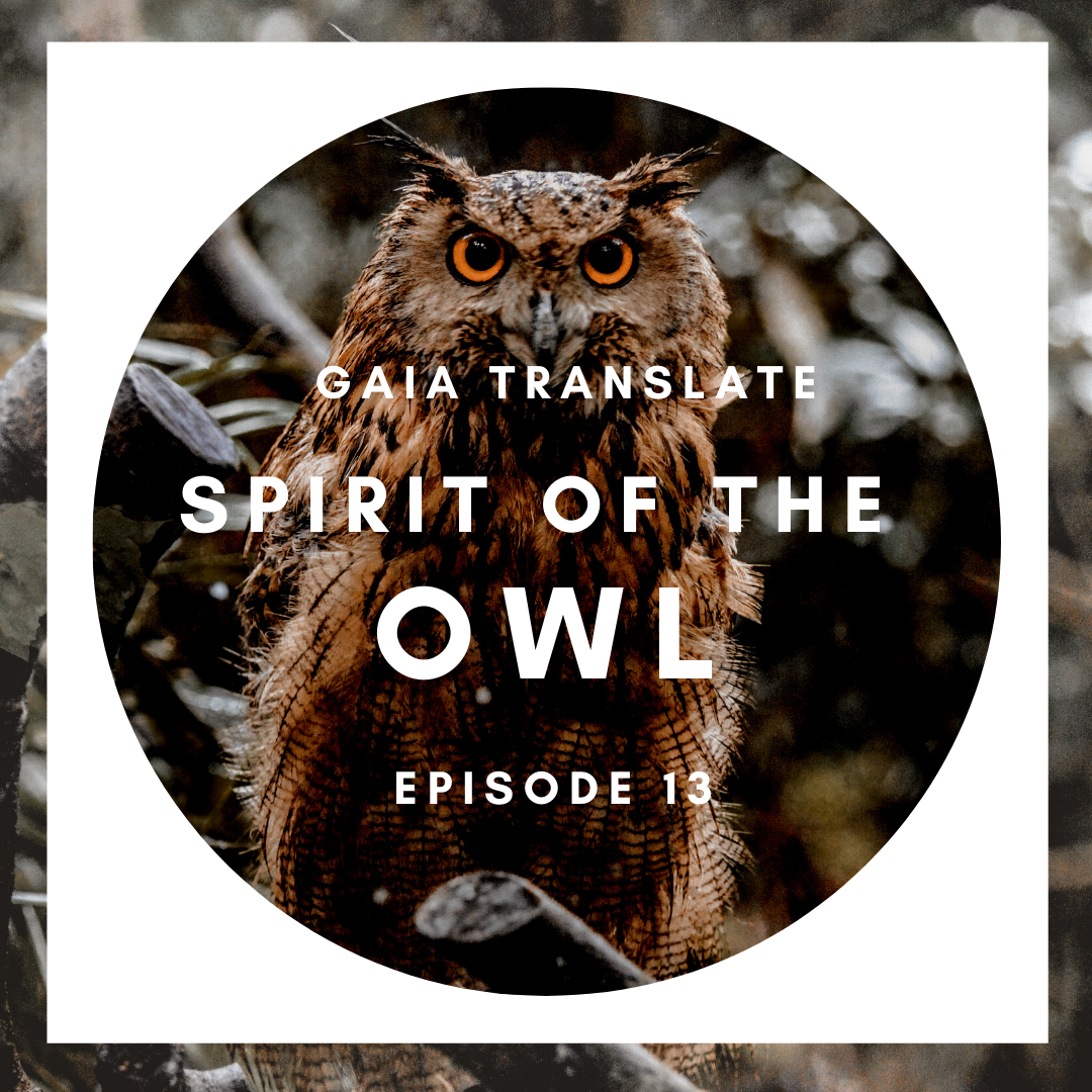 #13: The Great Spirit of the Owl