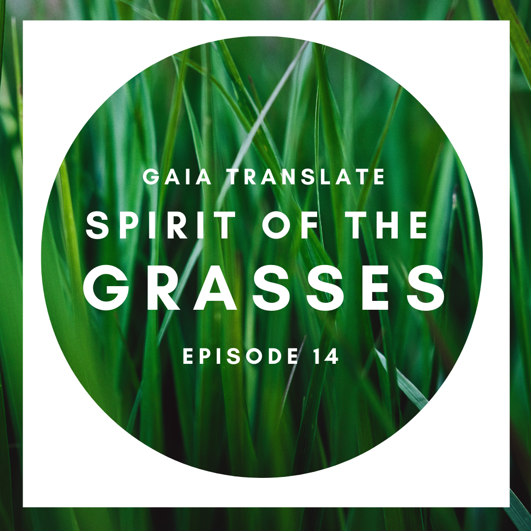 #14: The Great Spirit of the Grasses