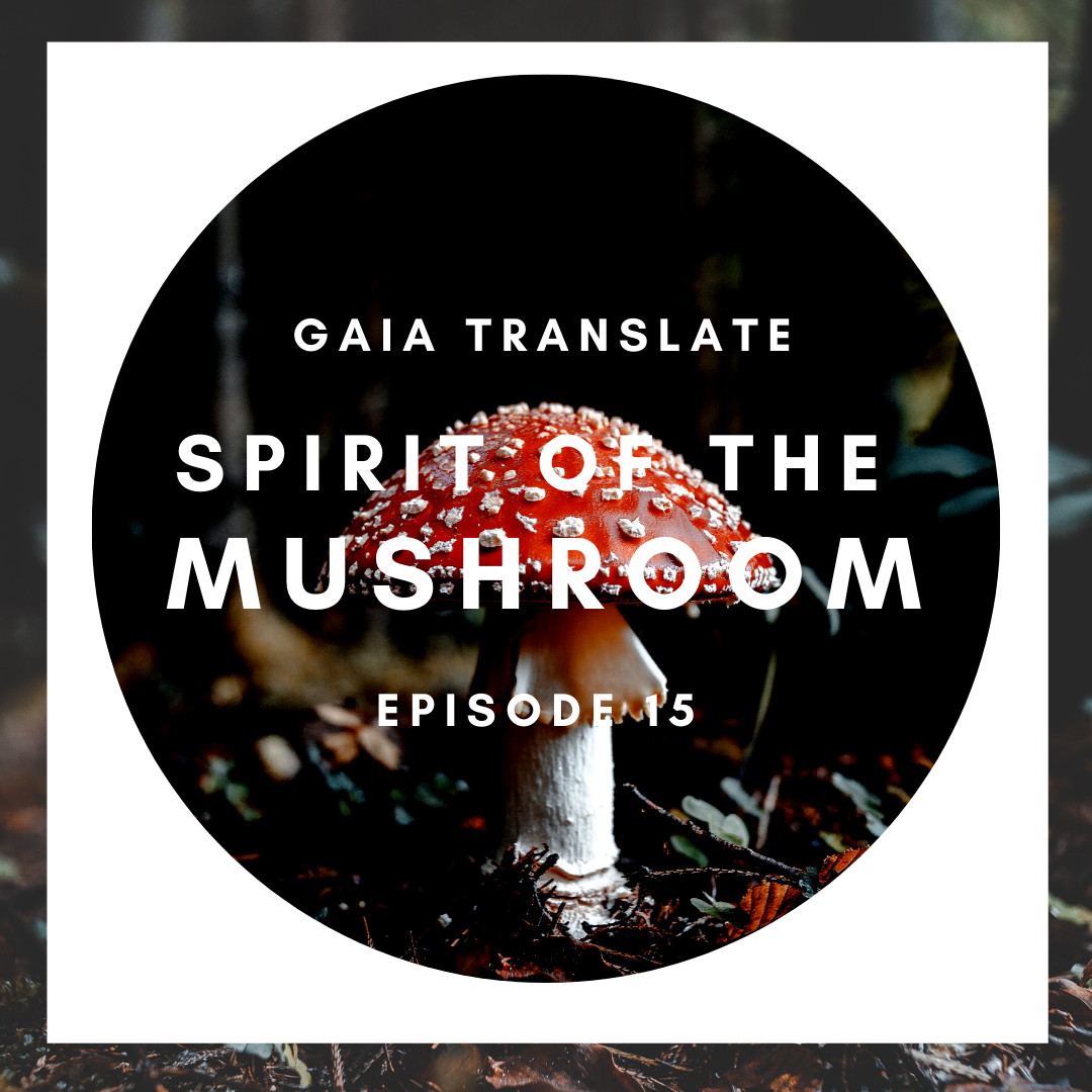 #15: The Great Spirit of the Mushroom