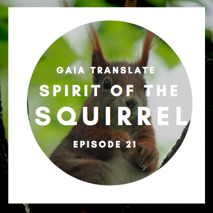 #21: The Great Spirit of the Squirrel