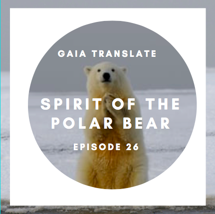#26: The Great Spirit of the Polar Bear