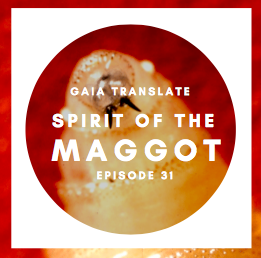 #31: The Great Spirit of the Maggot
