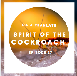 #27: The Great Spirit of the Cockroach
