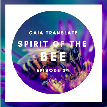 #34: The Great Spirit of the Bee