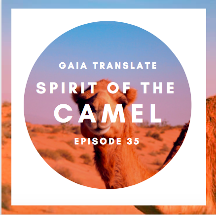 #35: The Great Spirit of the Camel