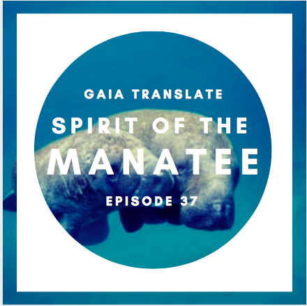 #37: The Great Spirit of the Manatee