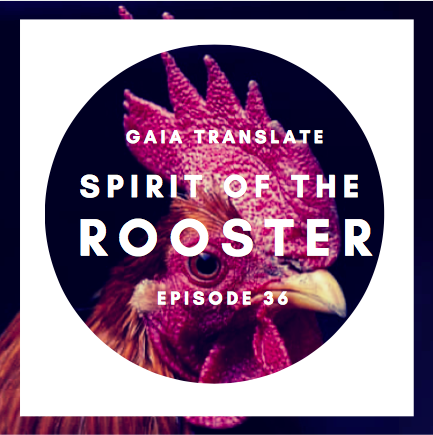 #36: The Great Spirit of the Rooster (Cock)