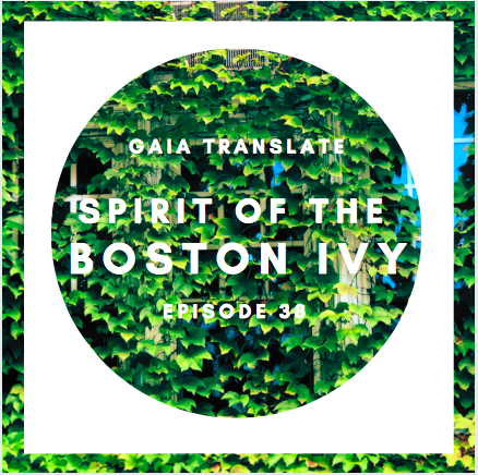 #38: The Great Spirit of the Boston Ivy