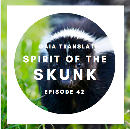 #42: The Great Spirit of the Skunk
