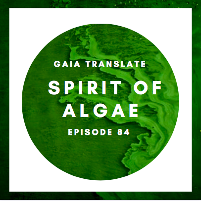 #84 The Great Spirit of the Algae