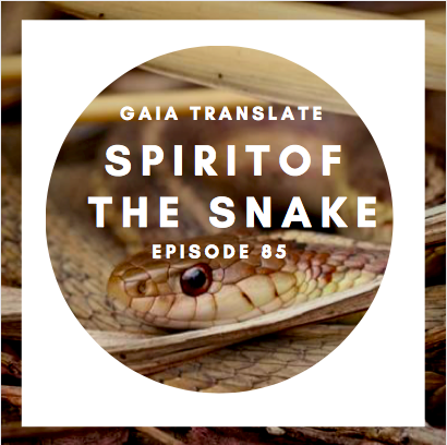 #85 The Great Spirit of the  Snake 