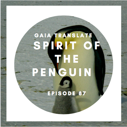 #87 The Great Spirit of the Penguin