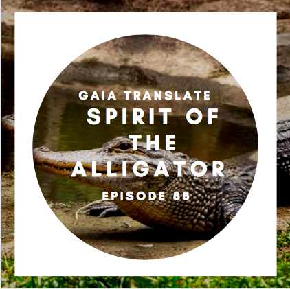 #88 The Great Spirit of the Alligator