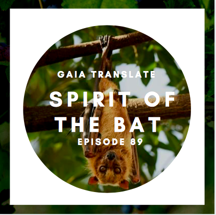 #89 The Great Spirit of the Bat