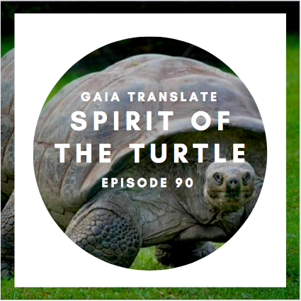#90 The Great Spirit of the Turtle