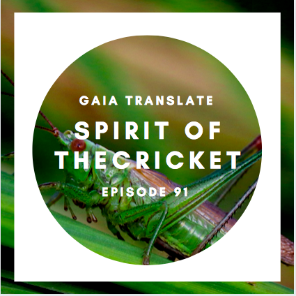 #91 The Great Spirit of the Cricket