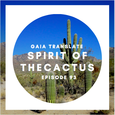 #93 The Great Spirit of the Cactus