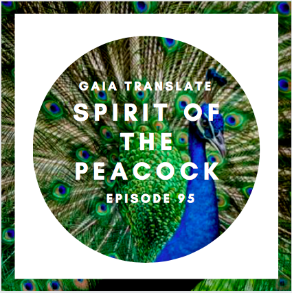 #95 The Great Spirit of the Peacock