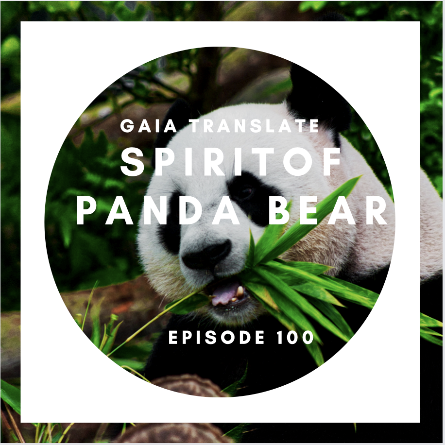 #100 The Great Spirit of  the Panda Bear
