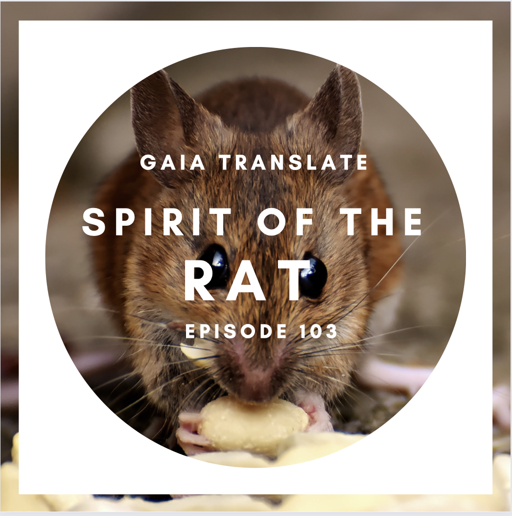 #103 The Great Spirit of the Rat