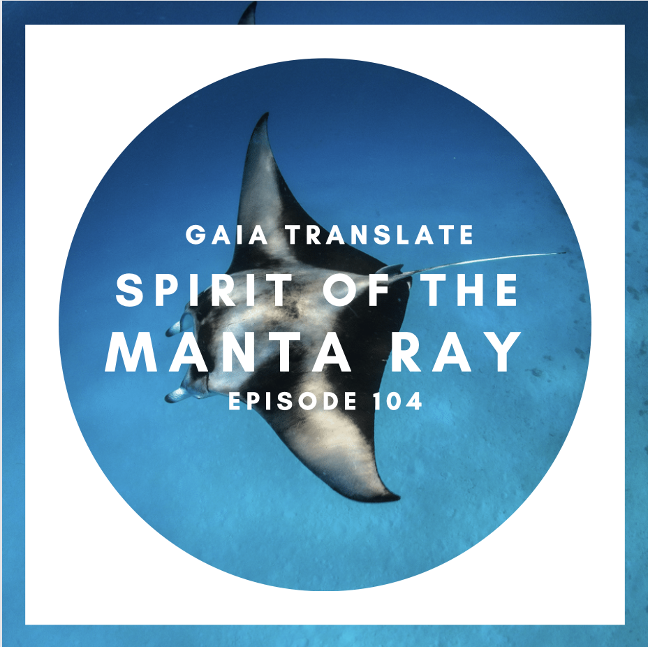 #104 The Great Spirit of the Manta Ray