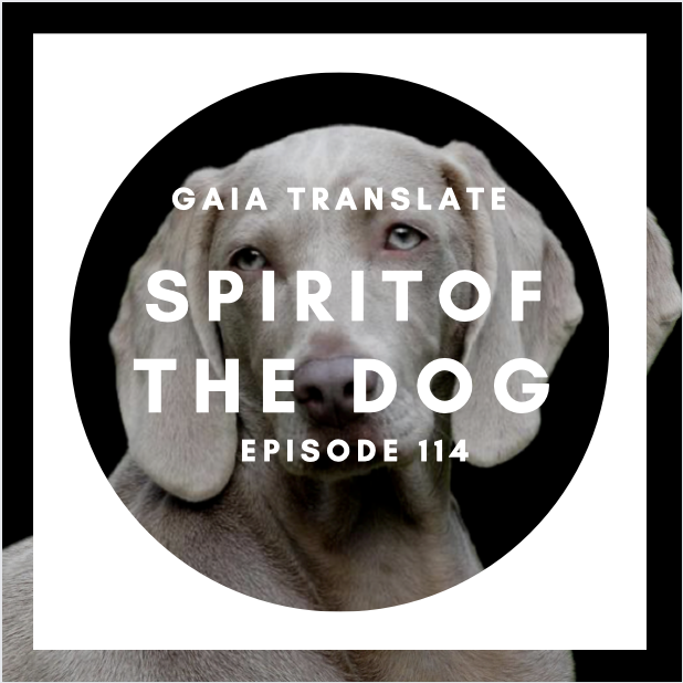 #114 The Great Spirit of the Dog