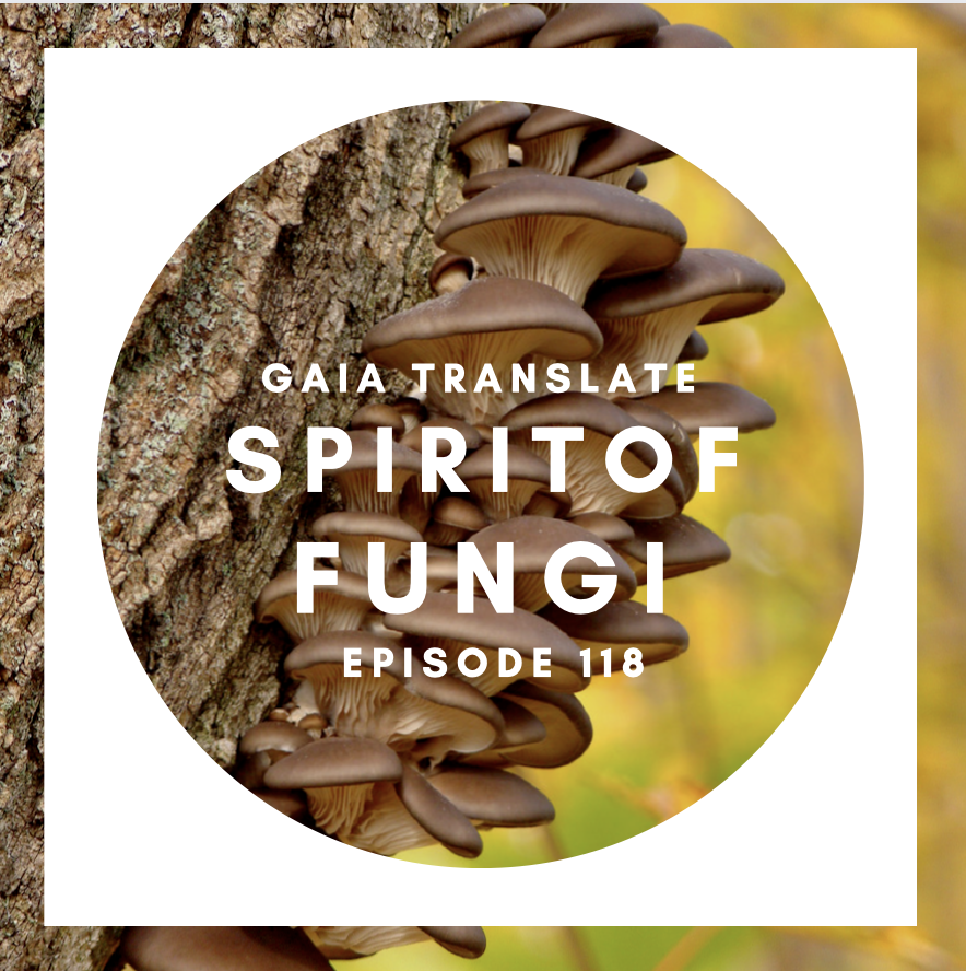 #118 The Great Spirit of Fungi