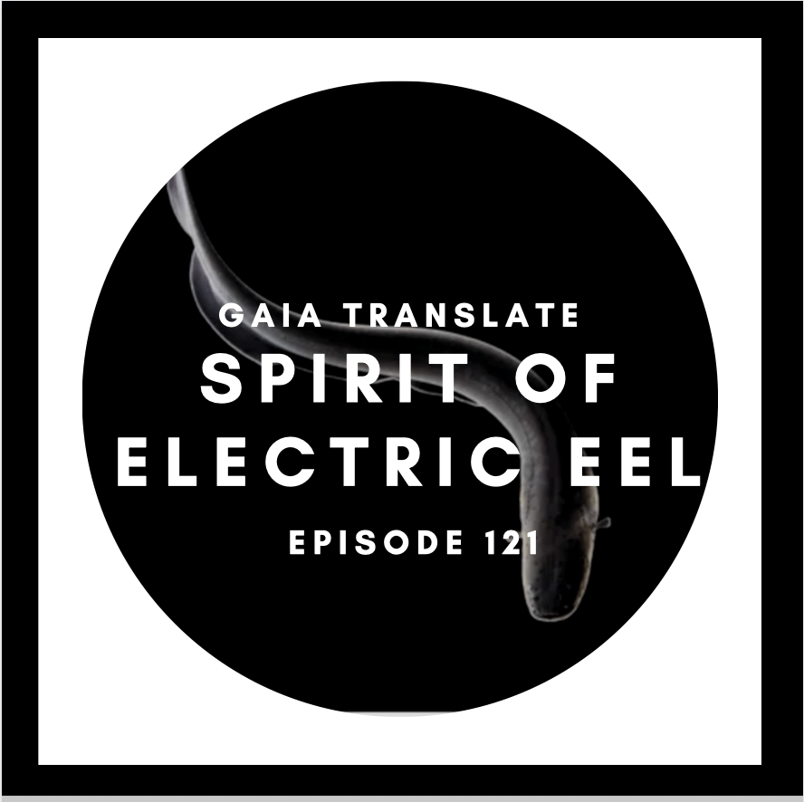 #121 The Great Spirit of the Electric Eel