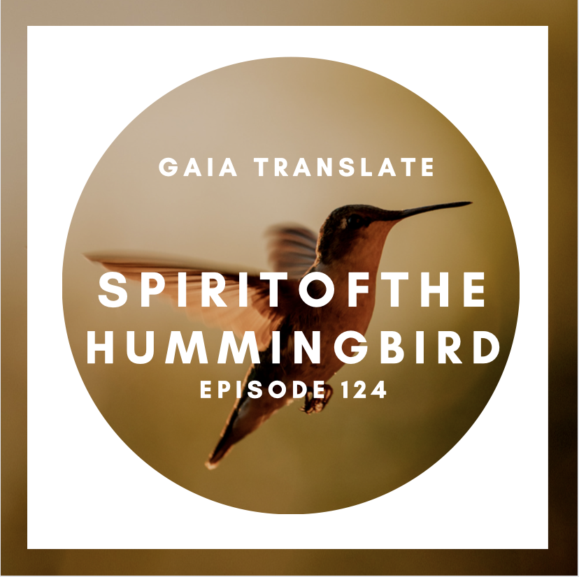 #124 The Great Spirit of  the Hummingbird