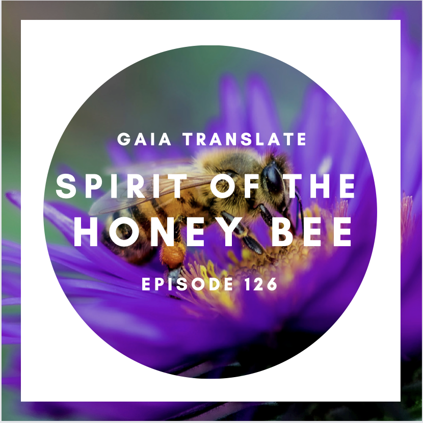 #126 The Great Spirit of the Honey Bee