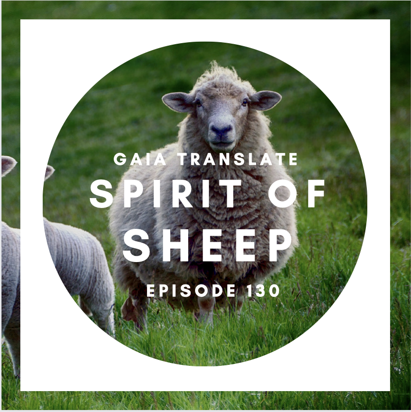 #130 The Great Spirit of the Sheep