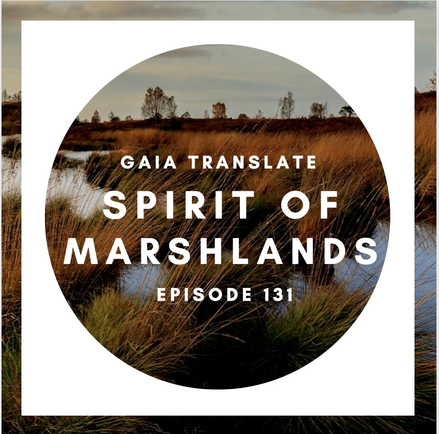 #131 The Great Spirit of the Marshlands