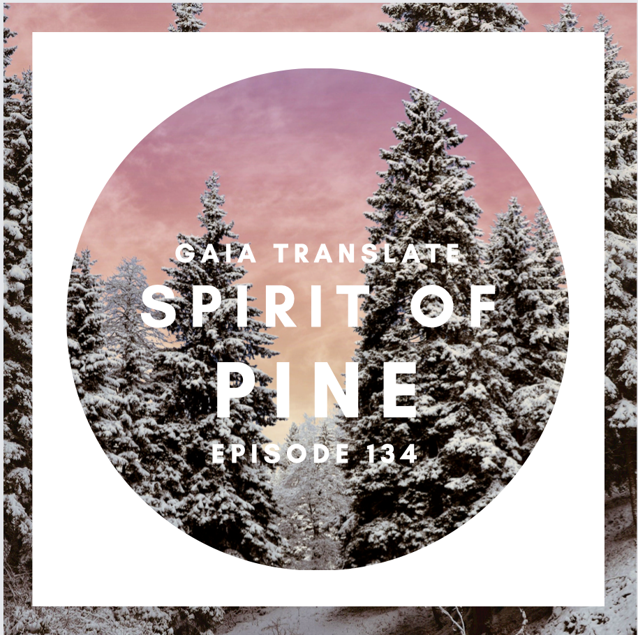 #134 The Great Spirit of the Pine