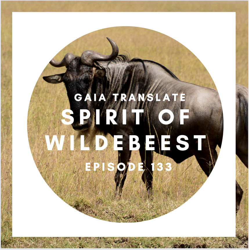 #133 The Great Spirit of the Wildebeest
