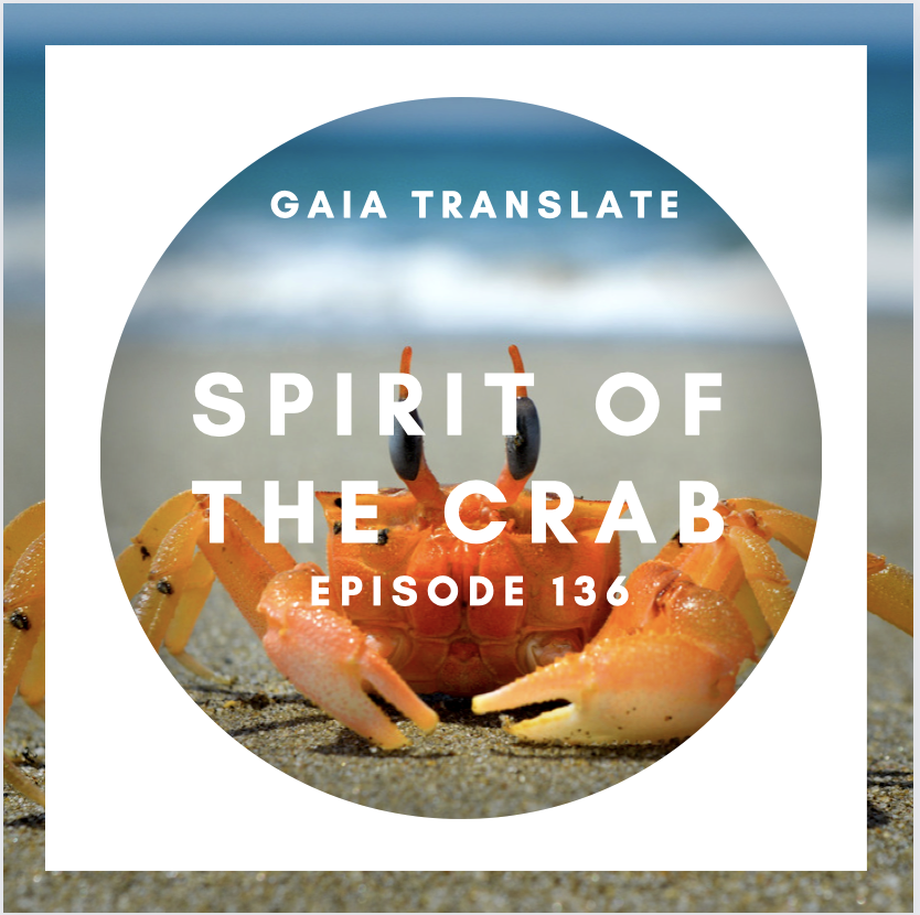 #136 The Great Spirit of the Crab