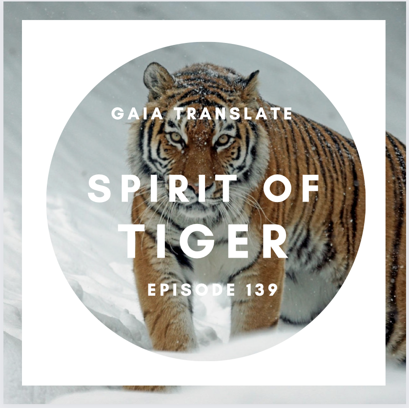 #139 The Great Spirit of the Tiger 