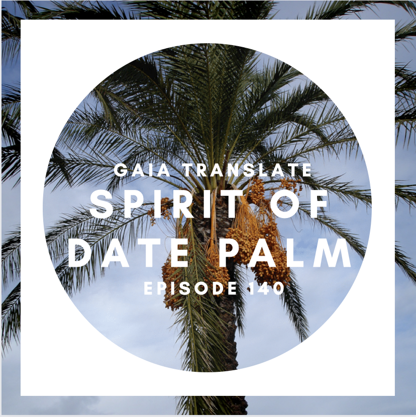 #140 The Great Spirit of the Date Palm